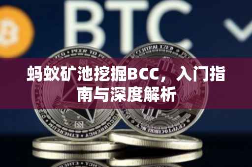 蚂蚁矿池挖掘BCC，入门指南与深度解析