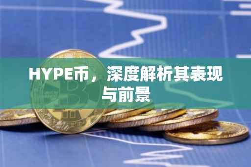 HYPE币，深度解析其表现与前景
