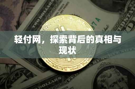 轻付网，探索背后的真相与现状