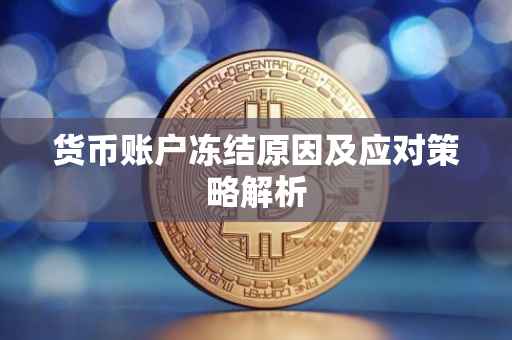 货币账户冻结原因及应对策略解析