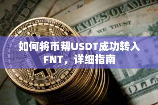 如何将币帮USDT成功转入FNT，详细指南