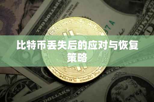 比特币丢失后的应对与恢复策略