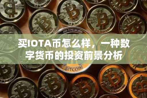 买IOTA币怎么样，一种数字货币的投资前景分析