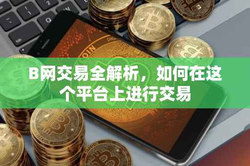 B网交易全解析，如何在这个平台上进行交易