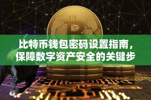 比特币钱包密码设置指南，保障数字资产安全的关键步骤