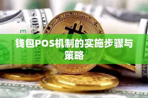 钱包POS机制的实施步骤与策略