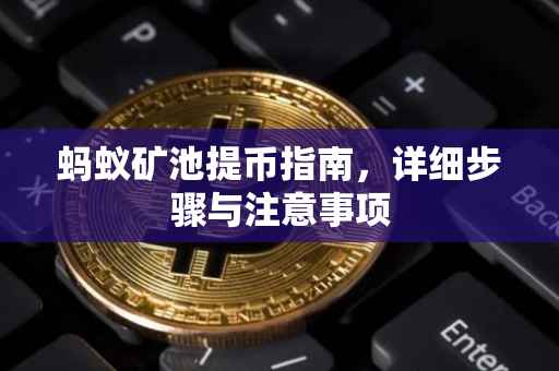 蚂蚁矿池提币指南，详细步骤与注意事项
