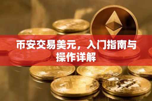 币安交易美元，入门指南与操作详解