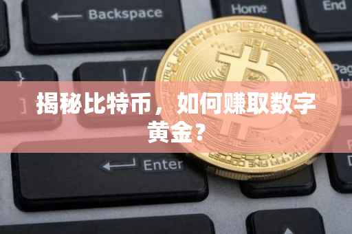 揭秘比特币，如何赚取数字黄金？