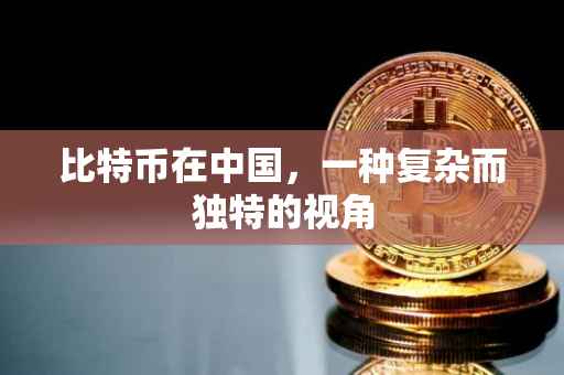 比特币在中国，一种复杂而独特的视角