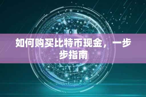 如何购买比特币现金，一步步指南