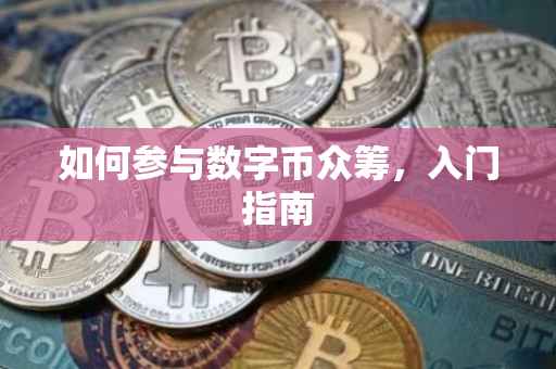 如何参与数字币众筹，入门指南