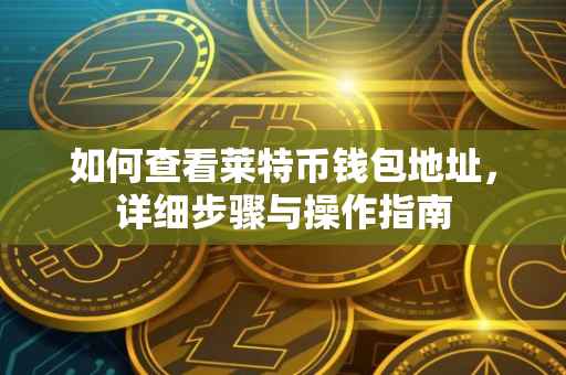 如何查看莱特币钱包地址，详细步骤与操作指南