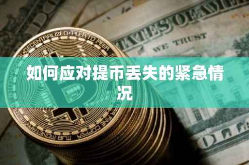 如何应对提币丢失的紧急情况