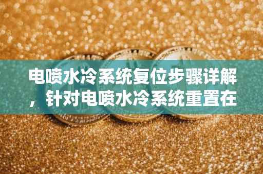 电喷水冷系统复位步骤详解，针对电喷水冷系统重置在摩托车上的操作过程（以电喷水冷摩托车为例）