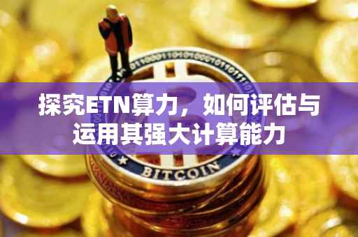 探究ETN算力，如何评估与运用其强大计算能力