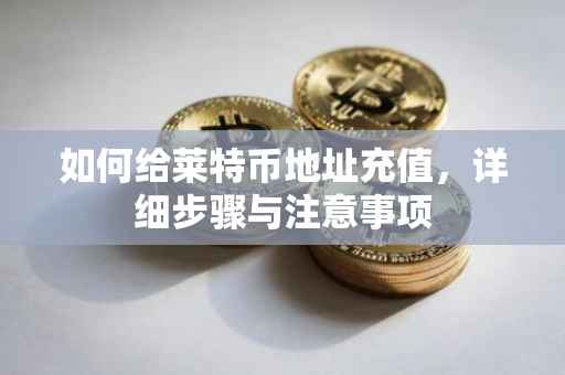 如何给莱特币地址充值，详细步骤与注意事项