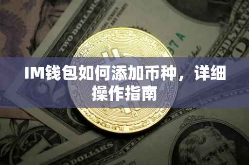 IM钱包如何添加币种，详细操作指南