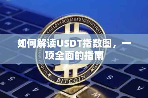 如何解读USDT指数图，一项全面的指南
