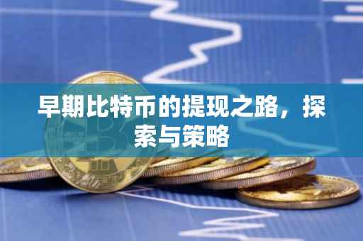 早期比特币的提现之路，探索与策略