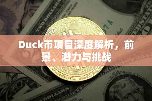 Duck币项目深度解析，前景、潜力与挑战