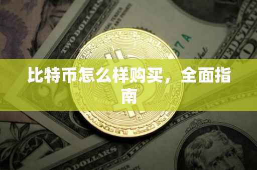 比特币怎么样购买，全面指南