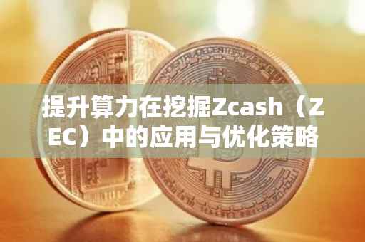 提升算力在挖掘Zcash（ZEC）中的应用与优化策略