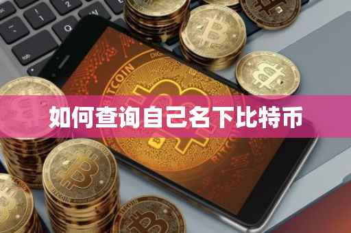 如何查询自己名下比特币