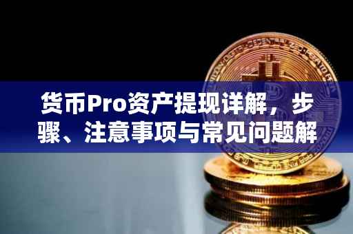 货币Pro资产提现详解，步骤、注意事项与常见问题解答