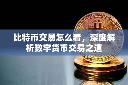 比特币交易怎么看，深度解析数字货币交易之道