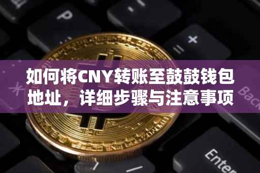 如何将CNY转账至鼓鼓钱包地址，详细步骤与注意事项