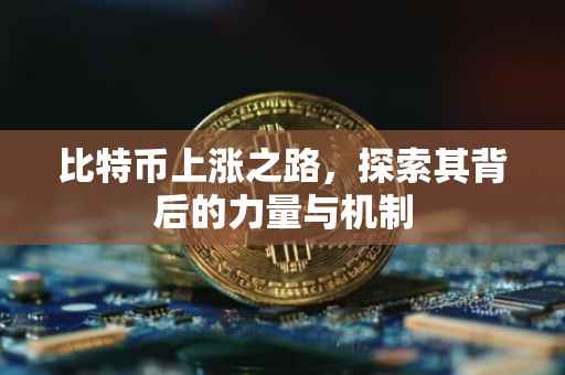 比特币上涨之路，探索其背后的力量与机制