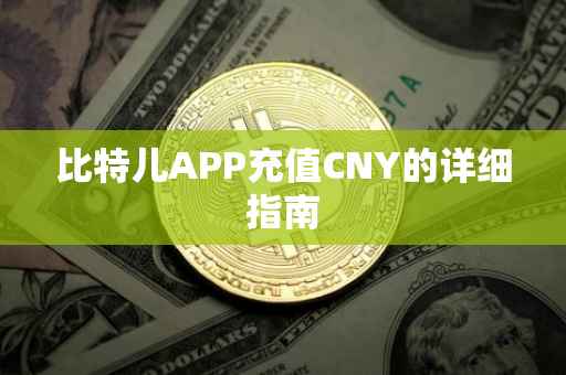 比特儿APP充值CNY的详细指南
