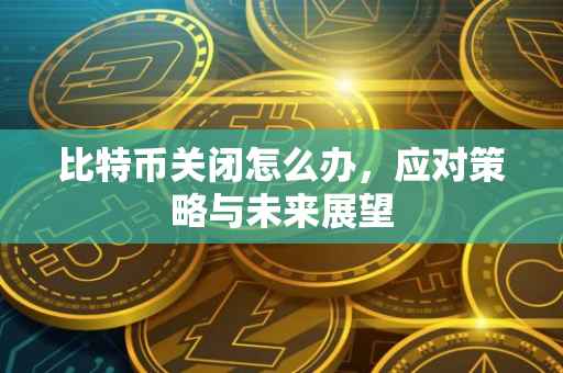 比特币关闭怎么办，应对策略与未来展望