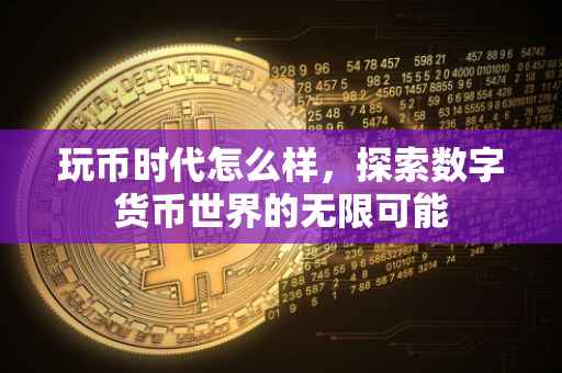 玩币时代怎么样，探索数字货币世界的无限可能