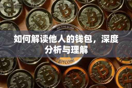 如何解读他人的钱包，深度分析与理解