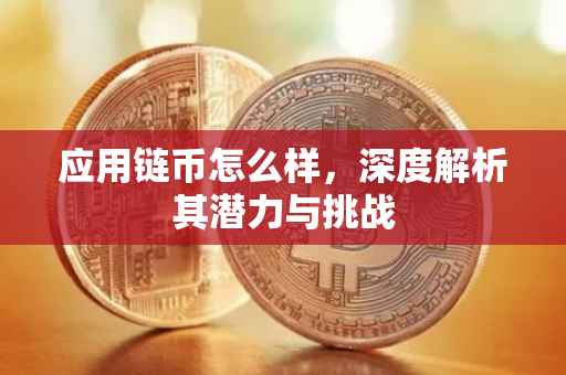 应用链币怎么样，深度解析其潜力与挑战