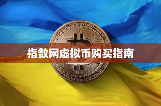 指数网虚拟币购买指南