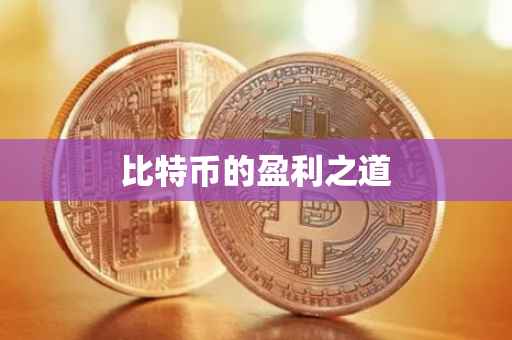 比特币的盈利之道