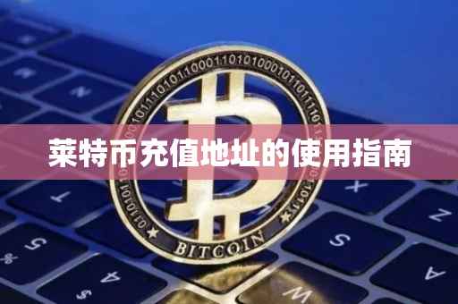 莱特币充值地址的使用指南