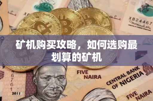矿机购买攻略，如何选购最划算的矿机