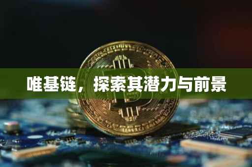 唯基链，探索其潜力与前景