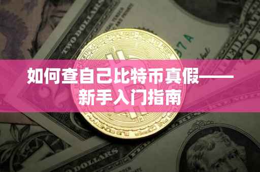 如何查自己比特币真假——新手入门指南