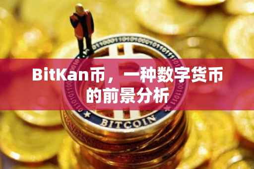 BitKan币，一种数字货币的前景分析