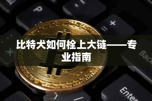 比特犬如何栓上大链——专业指南