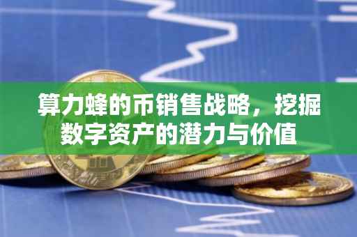算力蜂的币销售战略，挖掘数字资产的潜力与价值