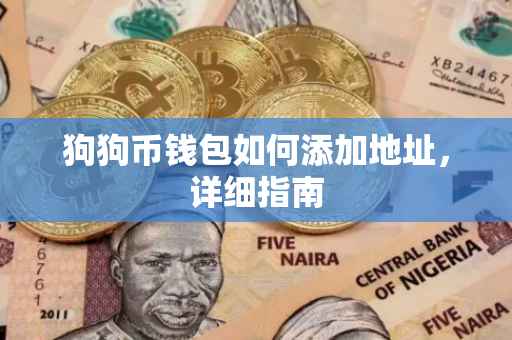 狗狗币钱包如何添加地址，详细指南