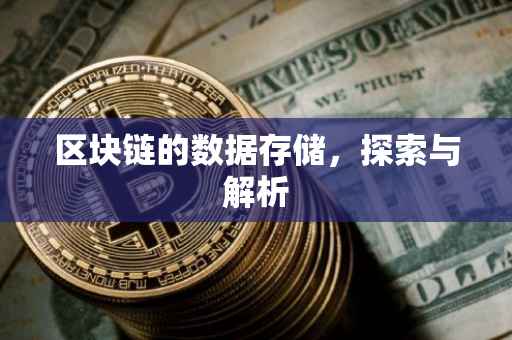 区块链的数据存储，探索与解析
