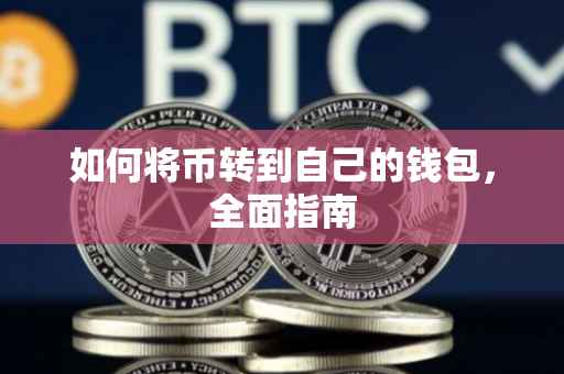 如何将币转到自己的钱包，全面指南