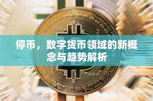 停币，数字货币领域的新概念与趋势解析